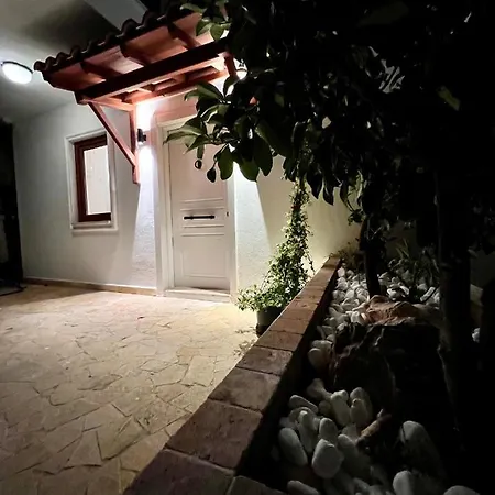 Viola - Kalkan
