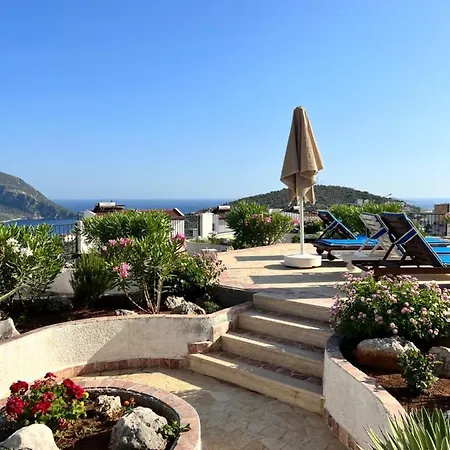 Viola - Holiday home