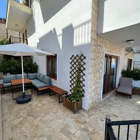 Viola - * Kalkan